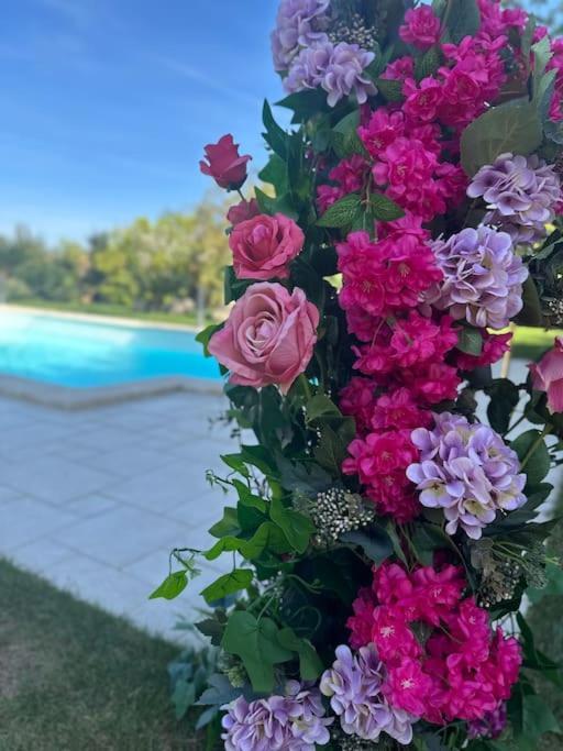 Villa Vittoria Events 科拉托 外观 照片